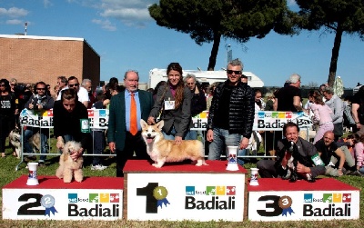 des Contamines - 25/04/12 Exposition Ravenna National Show (Italy)