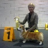  - 31/03/13 Luxembourg Dog Show Spring