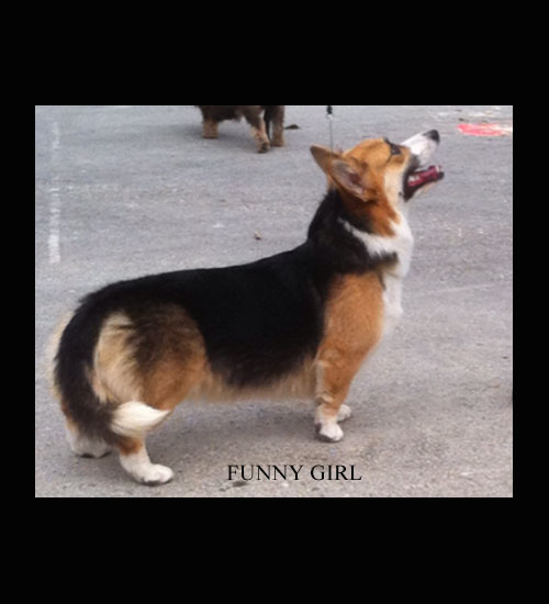 Funny girl des Contamines
